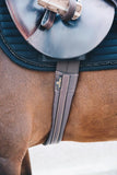 Kentucky Horsewear Young Horse girth