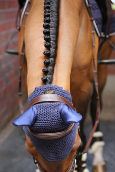 Kentucky Horsewear Wellington Fly Veil Blue Equissimo